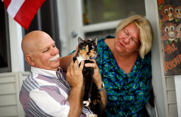 Holly the cat - brave cat makes it home 200 miles after being lost